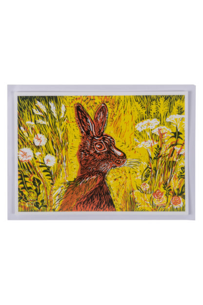 Hare in Yellow Meadow Greeting Card