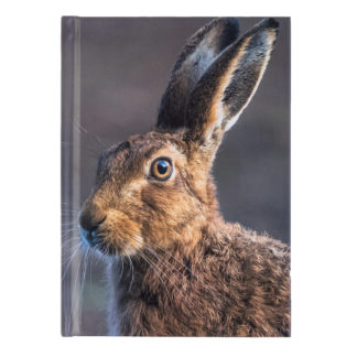 Hare Notebook