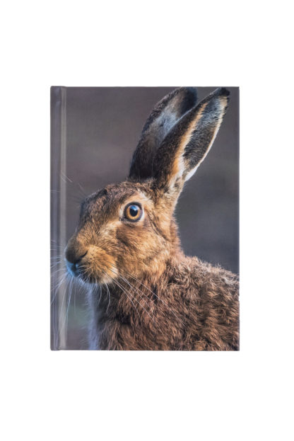 Hare Notebook