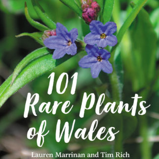 101 Rare Plants of Wales Book