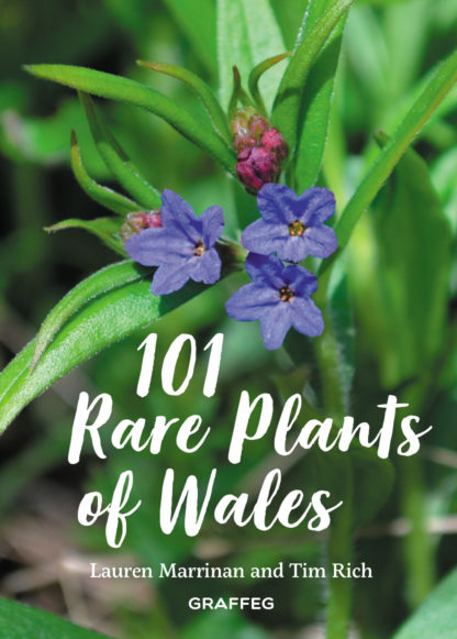 101 Rare Plants of Wales Book