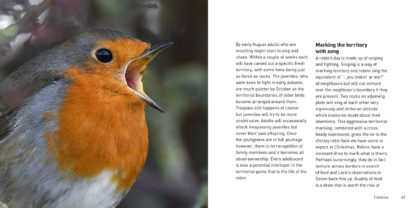 The Robin Book Back Cover Inside Pages 2