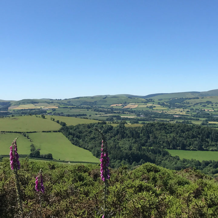 Welsh Landscape