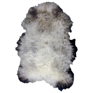 Rare Breed Badger Face Sheepskin