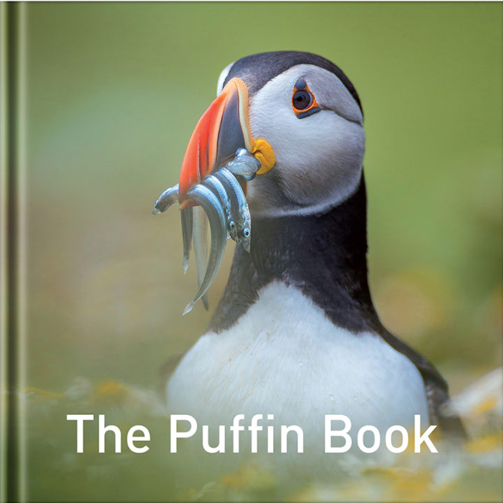 The Puffin Book FC