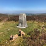 Trig point