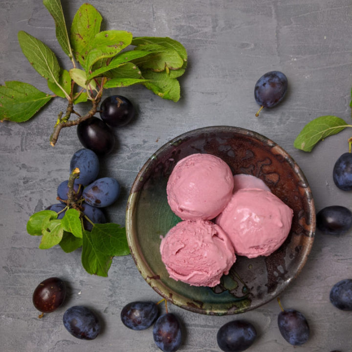 damson icecream edited2 800x800