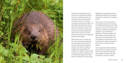 The Beaver Book Inside pages