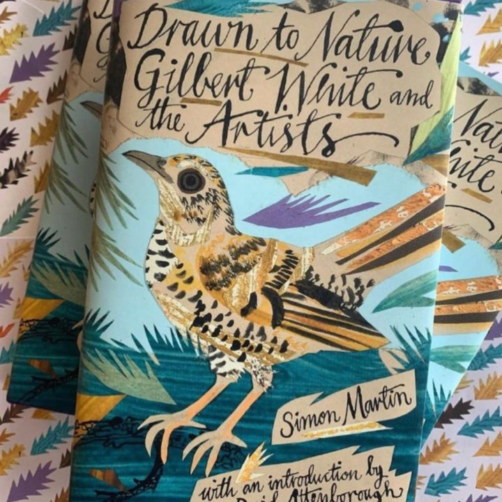 Gilbert White and the Artists by Simon Martin