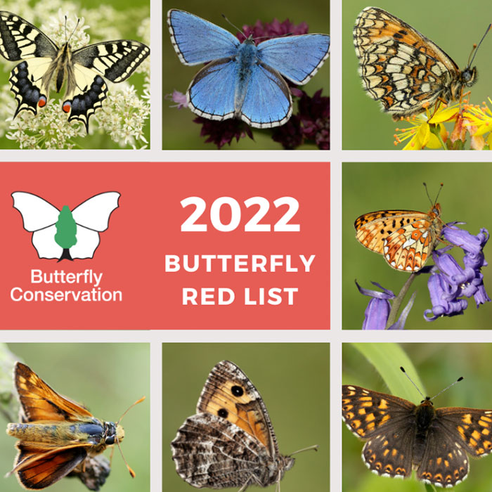 Butterfly Red List