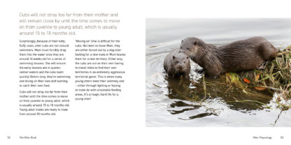 The Otter Book inside pages 2