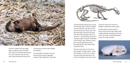 The Otter Book inside pages
