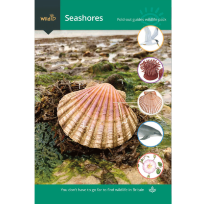 Seashore Wildlife Pack FSC Guide