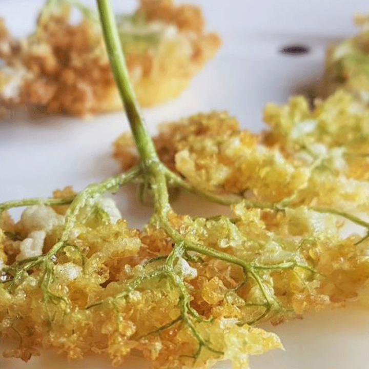 elderflower tempura 750