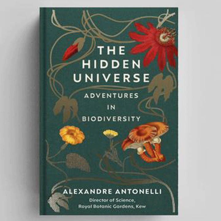 the hidden universe by alexandre antonellli 750