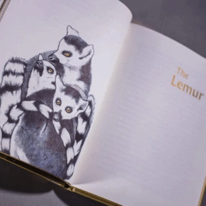 Web The Golden Mole and Other Living Treasure by Katherine Rundell inside page