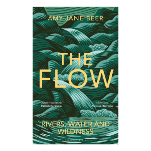 Web The Flow by Amy Jane Beer 1000