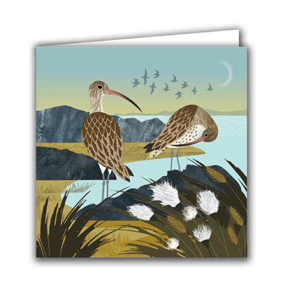 Curlews and Cotton Grass Greeting Card by Rachel Hudson