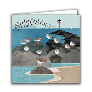 Dunlins and Ringed Plovers Greeting Card by Rachel Hudson