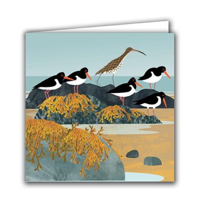 Curlew and Oystercatchers Greeting Card by Rachel Hudson